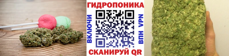 mega как войти  магазин    Нижнекамск  Canna-Cookies конопля 