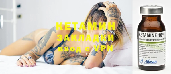 индика Алзамай