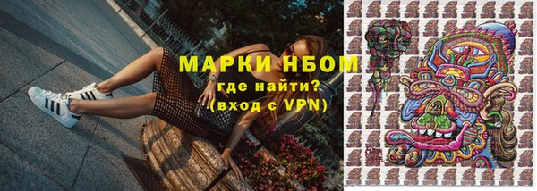 индика Алзамай