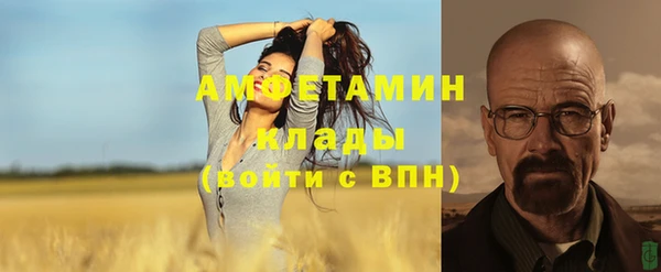 шишки Алексеевка