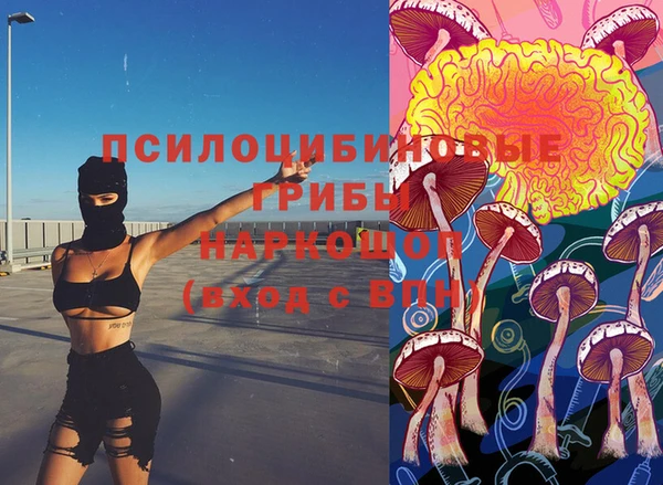 шишки Алексеевка