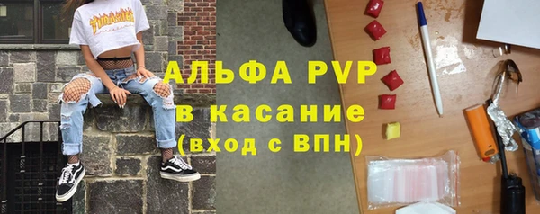 индика Алзамай