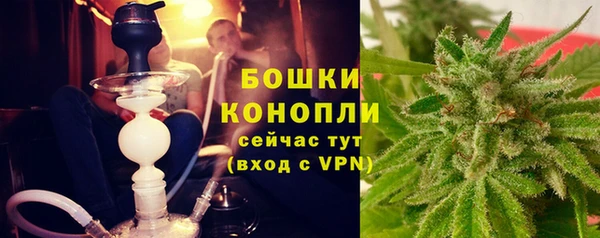 шишки Алексеевка