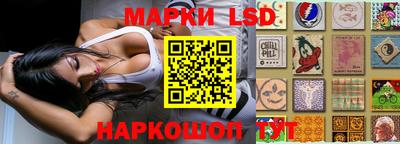 PSILOCYBIN Пугачёв
