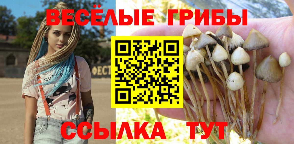 Нижнекамск  Псилоцибиновые грибы MAGIC MUSHROOMS  Вход с VPN 