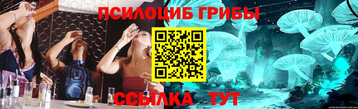 Галлюциногенные грибы Cubensis Нижнекамск