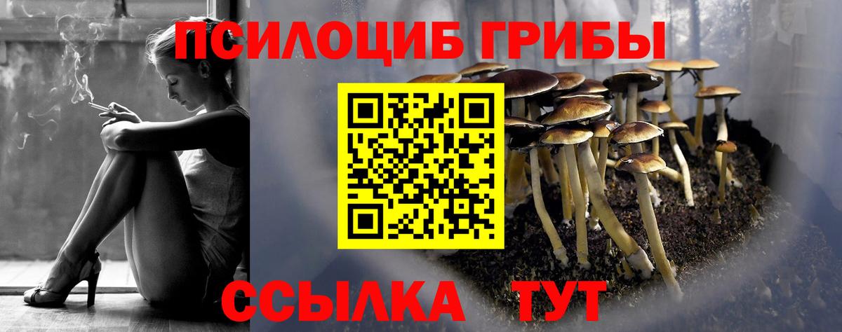 Галлюциногенные грибы Psilocybe  Вход с VPN  Нижнекамск 