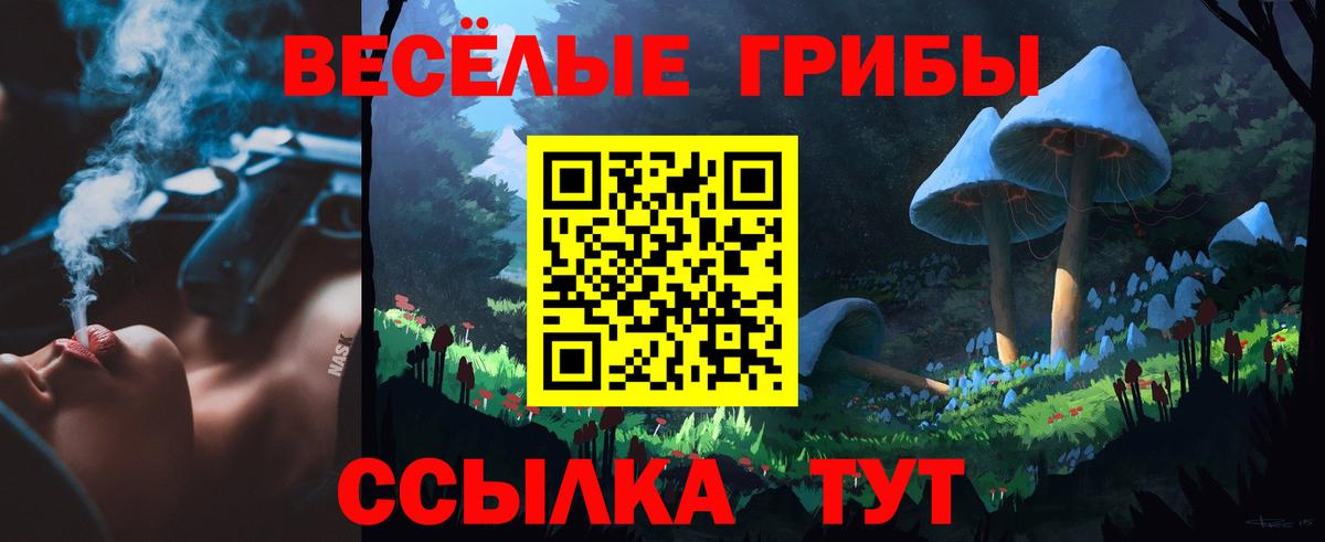 Галлюциногенные грибы мухоморы Нижнекамск